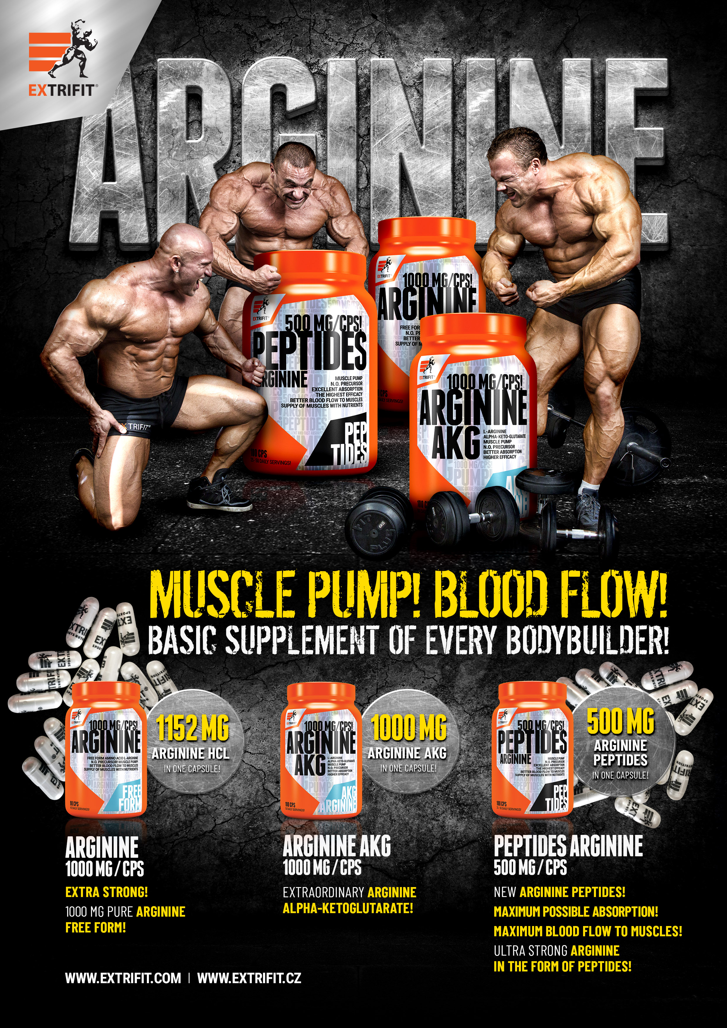 ARGININE AKG 1000 MG CAPS Extrifit Sport Nutrition