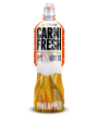 CARNIFRESH CAFFEINE FREE